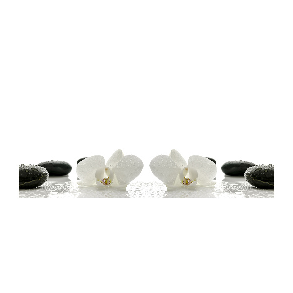 Obraz zdjęcie na ścianę akryl Orchidea