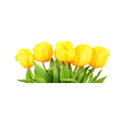 Foto op plexiglas Gele tulpen