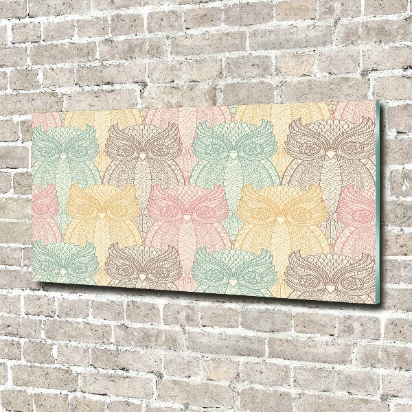 Plexiglas foto Uilen