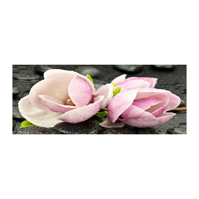 Plexiglas schilderij Magnolia zensteen