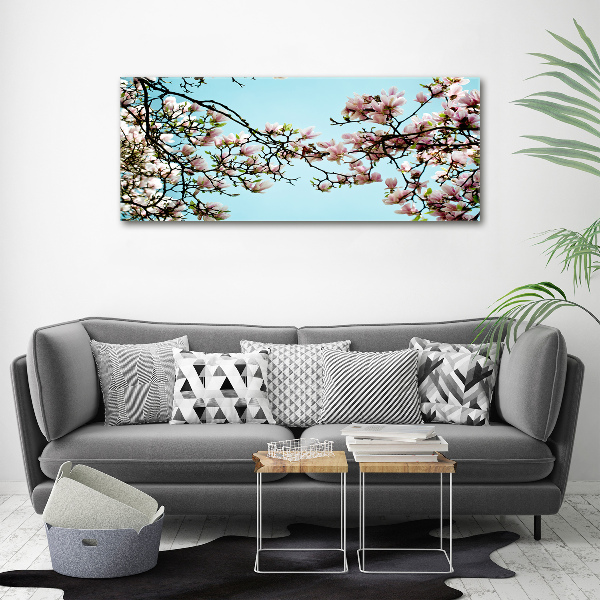 Foto plexiglas Magnolia bloemen