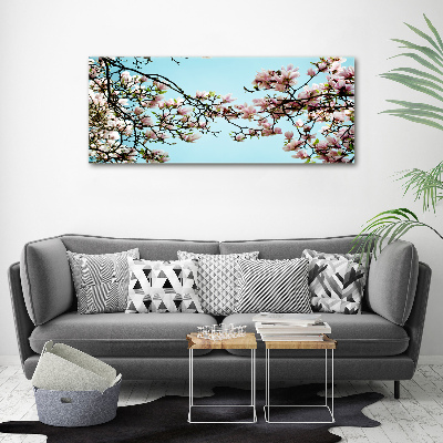 Foto plexiglas Magnolia bloemen