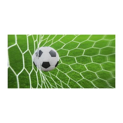Foto plexiglas De bal ligt in het doel.