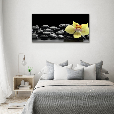 Obraz zdjęcie na ścianę akryl Orchidea