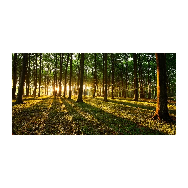 Foto op plexiglas Zonnestralen