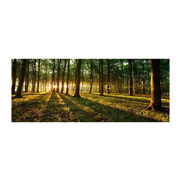 Foto op plexiglas Zonnestralen