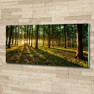 Foto op plexiglas Zonnestralen