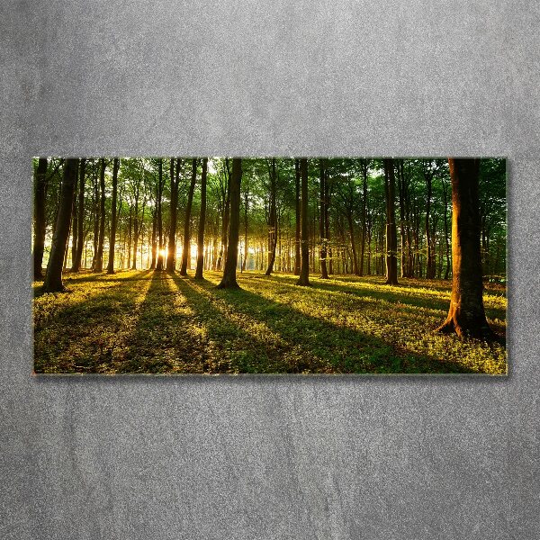 Foto op plexiglas Zonnestralen