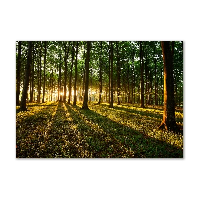 Foto op plexiglas Zonnestralen