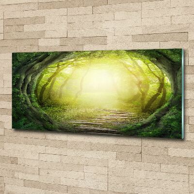 Schilderij op acrylglas Boomtunnel