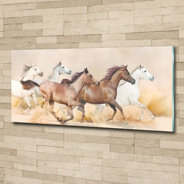 Plexiglas foto Paarden in galop