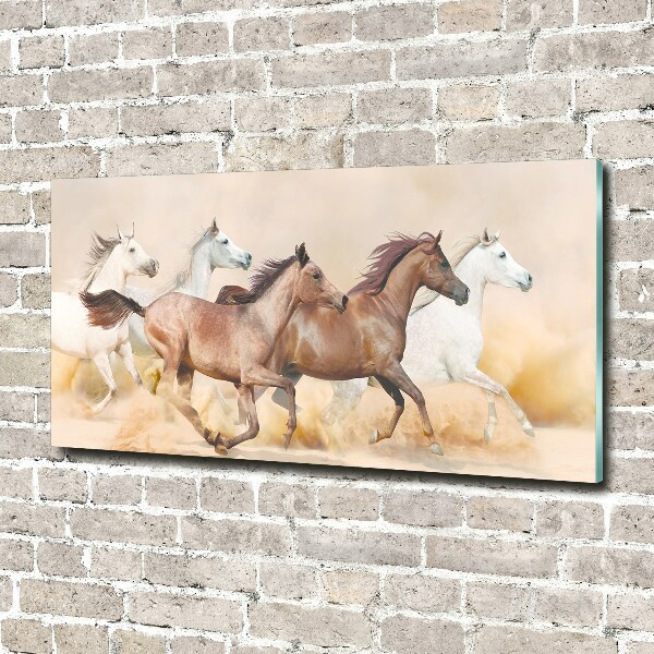 Plexiglas foto Paarden in galop