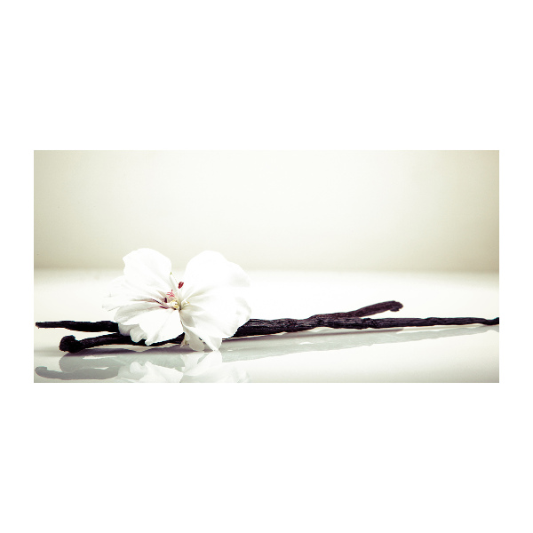 Plexiglas foto Vanillestokje