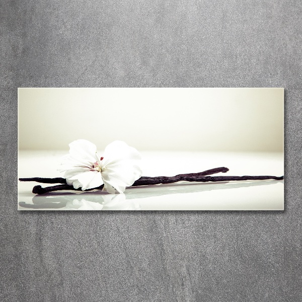 Plexiglas foto Vanillestokje