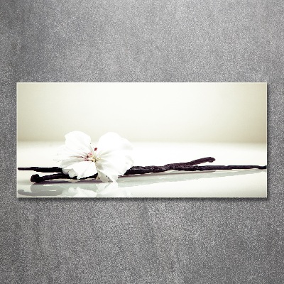 Plexiglas foto Vanillestokje