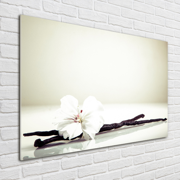 Plexiglas foto Vanillestokje