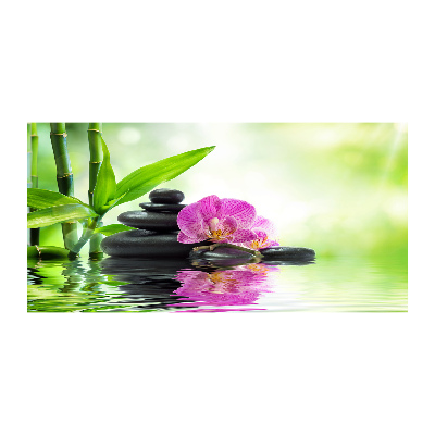 Obraz zdjęcie na ścianę akryl Orchidea