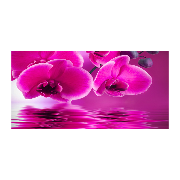 Foto op plexiglas Orchidee