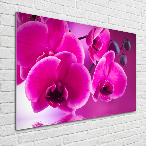 Foto op plexiglas Orchidee