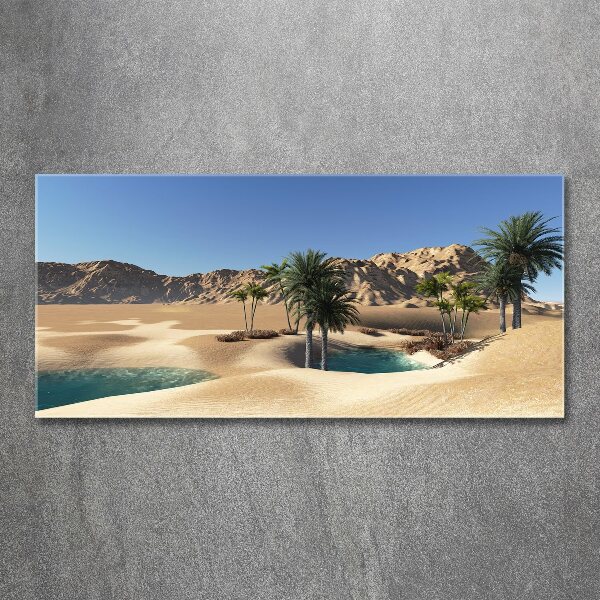 Plexiglas foto Oase