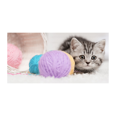 Plexiglas schilderij Kat met strengen