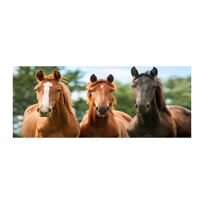 Plexiglas foto Drie paarden