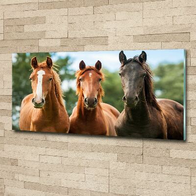 Plexiglas foto Drie paarden