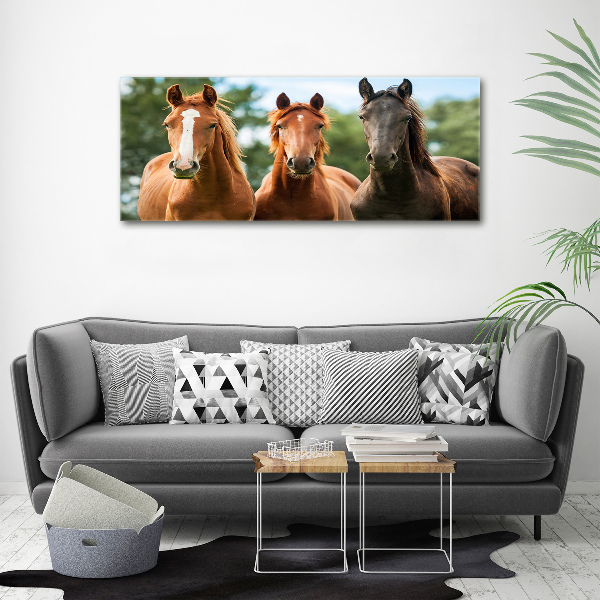 Plexiglas foto Drie paarden