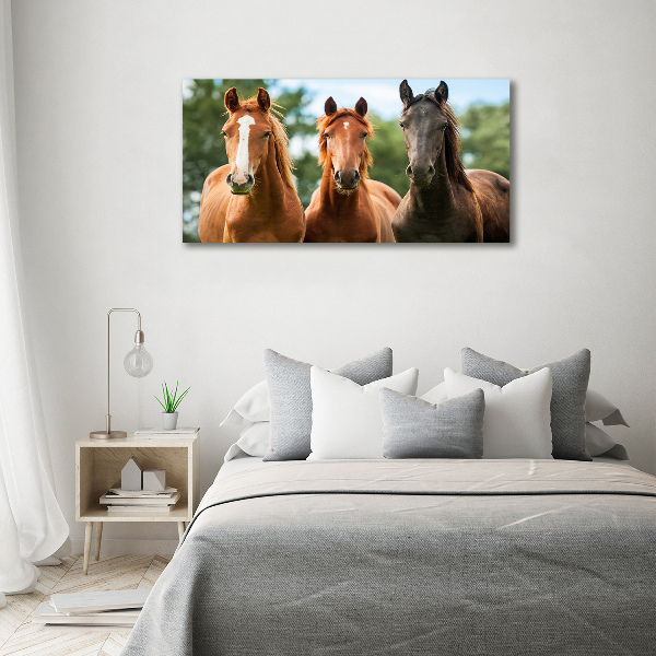 Plexiglas foto Drie paarden