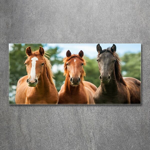 Plexiglas foto Drie paarden