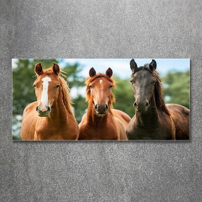 Plexiglas foto Drie paarden