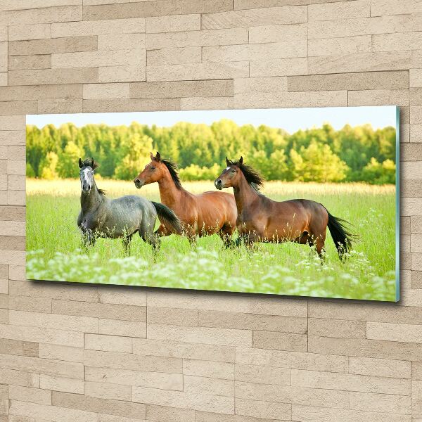 Foto plexiglas Paarden in galop
