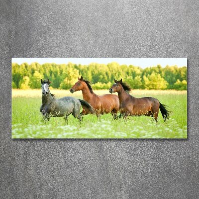 Foto plexiglas Paarden in galop