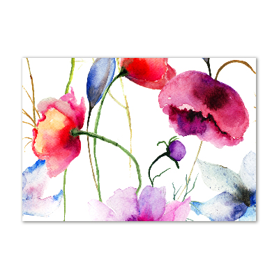 Foto plexiglas Klaprozen