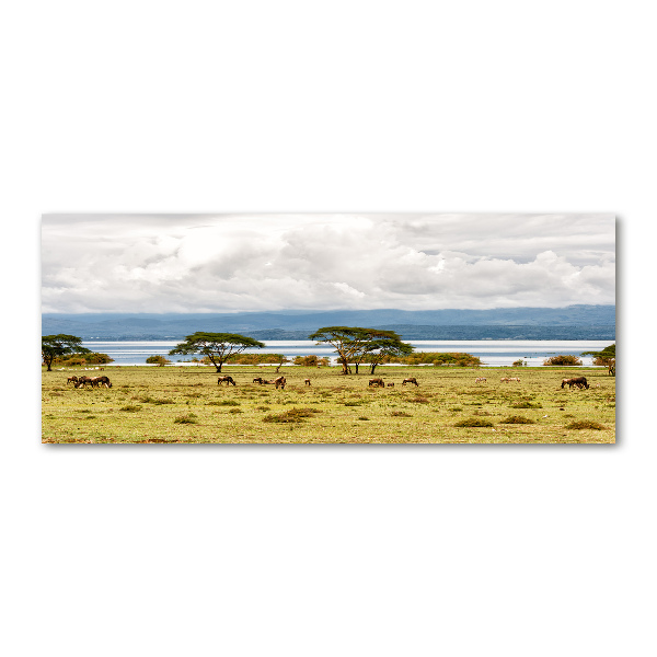 Foto plexiglas Naivasha-meer