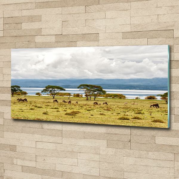 Foto plexiglas Naivasha-meer