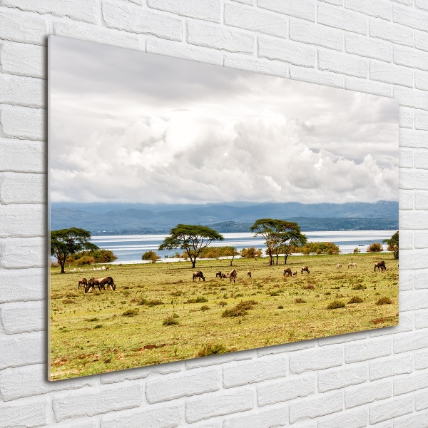 Foto plexiglas Naivasha-meer