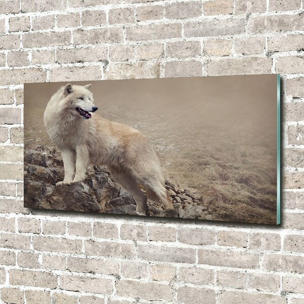 Plexiglas schilderij Witte wolf op een rots