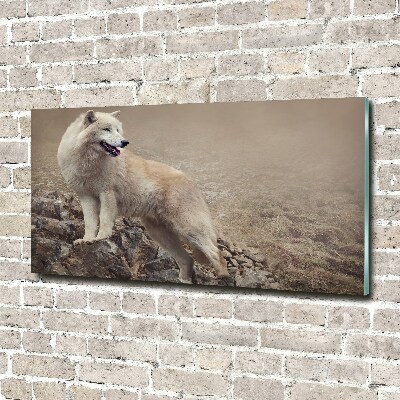 Plexiglas schilderij Witte wolf op een rots