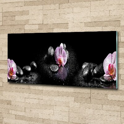 Plexiglas foto Orchidee