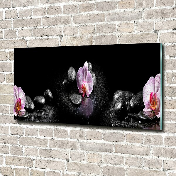 Plexiglas foto Orchidee