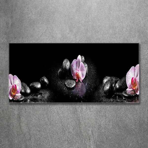Plexiglas foto Orchidee