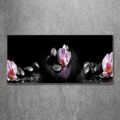 Plexiglas foto Orchidee