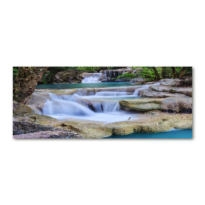 Foto op plexiglas Waterval in het bos