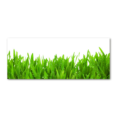 Schilderij op acrylglas Gras