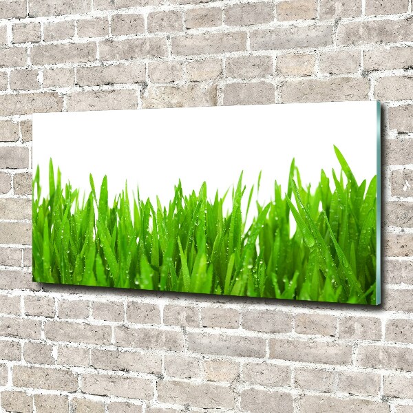 Schilderij op acrylglas Gras