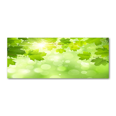 Obraz zdjęcie akryl Liście kasztanowca