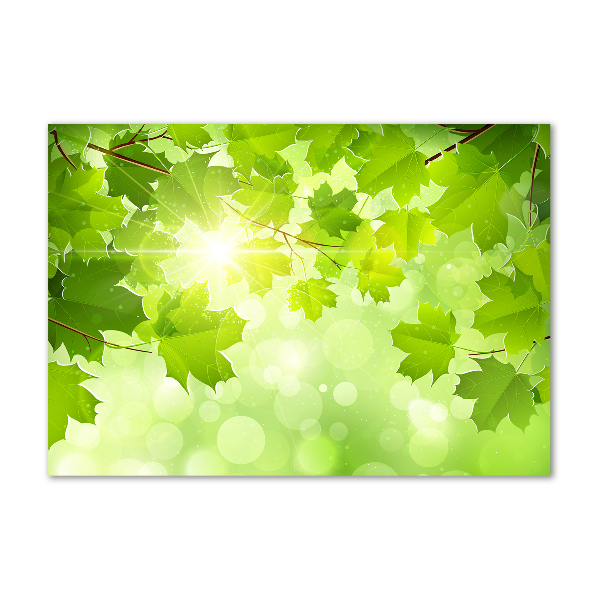 Obraz zdjęcie akryl Liście kasztanowca