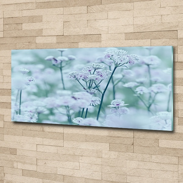 Foto plexiglas Grote mantelkruid