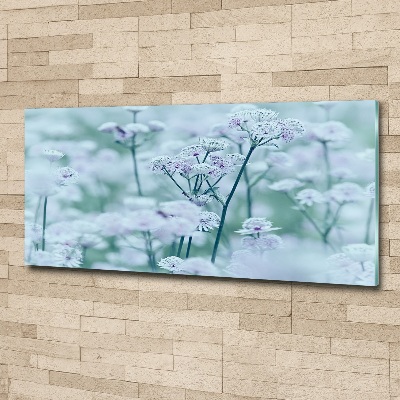 Foto plexiglas Grote mantelkruid